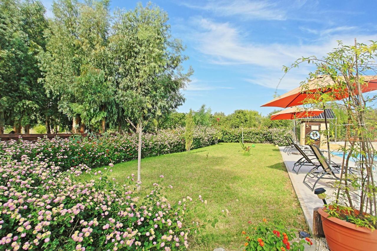 Villa Georgios Rafaela Polis Bagian luar foto